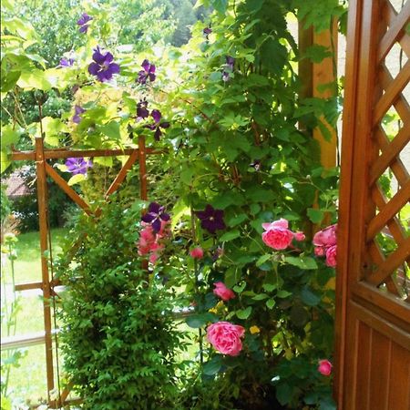 Apartment Mit Gartenblick Eckersdorf Экстерьер фото