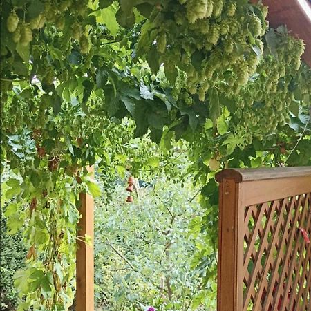 Apartment Mit Gartenblick Eckersdorf Экстерьер фото