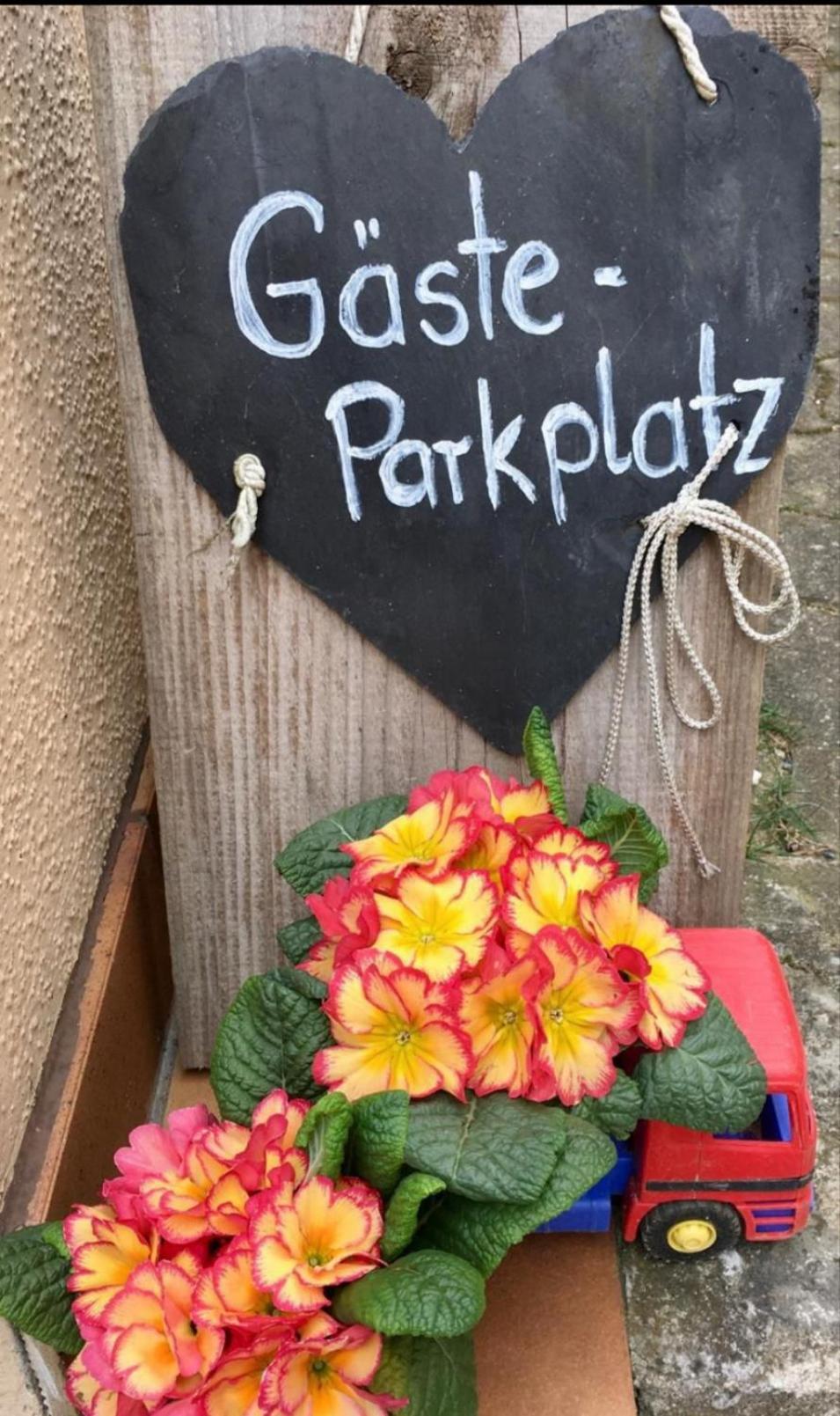 Apartment Mit Gartenblick Eckersdorf Экстерьер фото