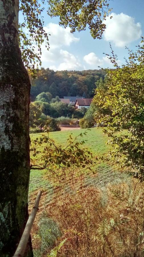 Apartment Mit Gartenblick Eckersdorf Экстерьер фото