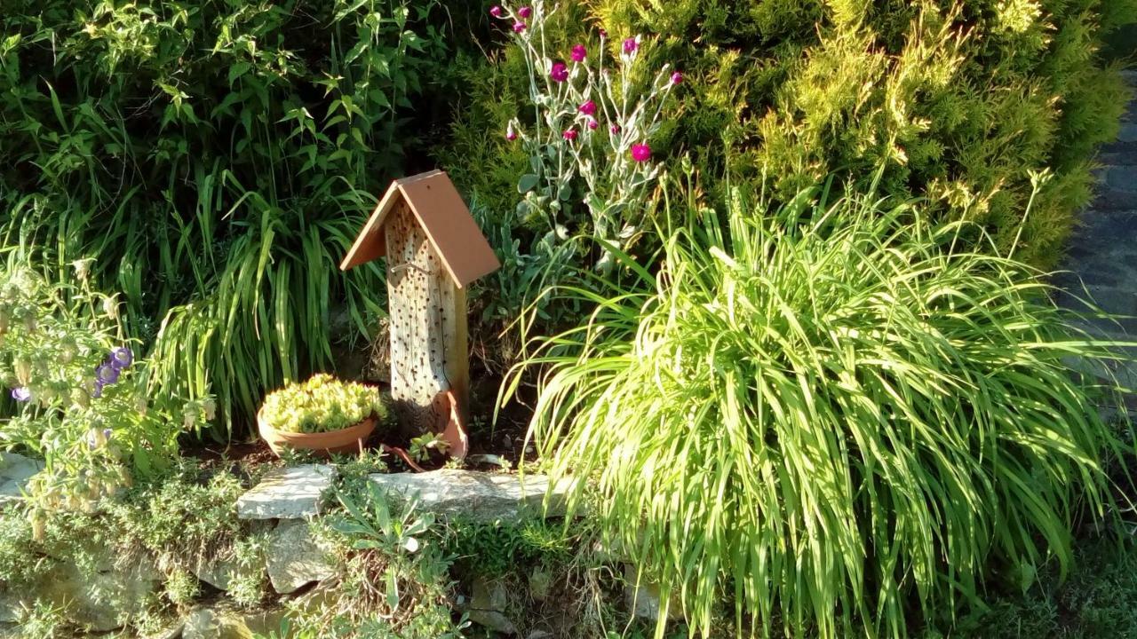Apartment Mit Gartenblick Eckersdorf Экстерьер фото