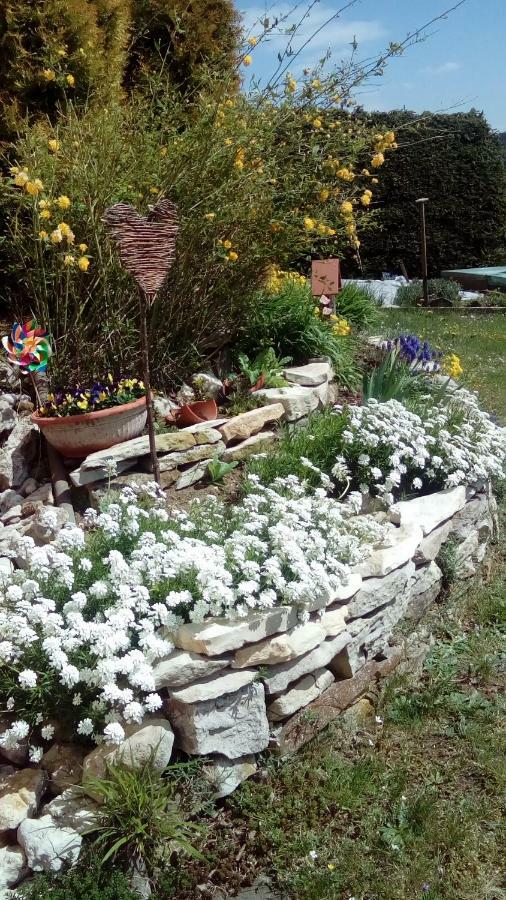 Apartment Mit Gartenblick Eckersdorf Экстерьер фото