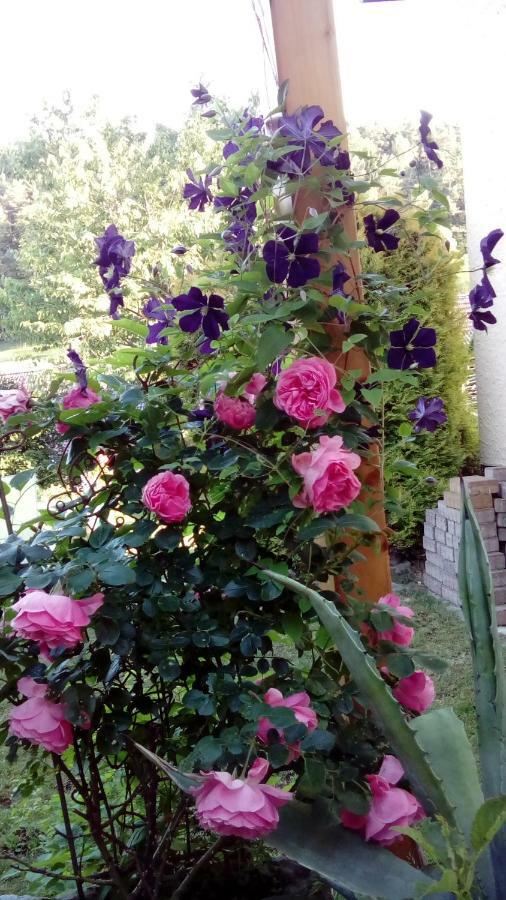 Apartment Mit Gartenblick Eckersdorf Экстерьер фото
